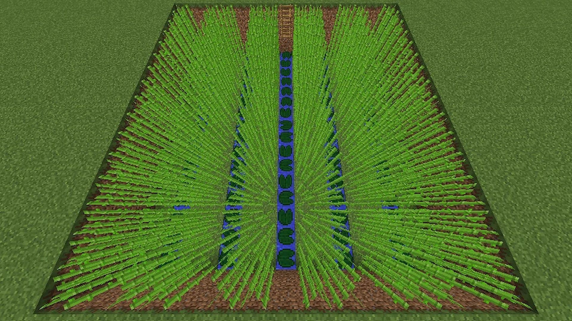 Players can create a very efficient farm using lines of sugar cane and water (Image via minecraft.fandom.com)