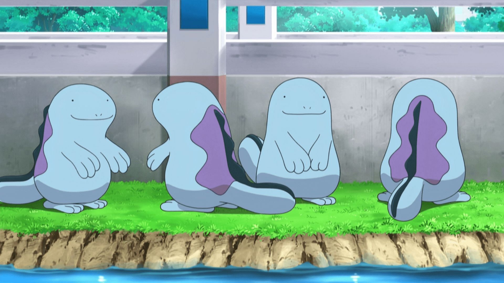 A family of Quagsire as they appear in the anime (Image via The Pokemon Company)
