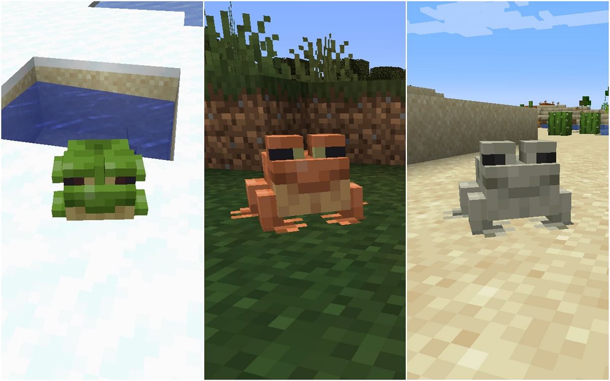 How To Get Different Colored Frogs In Minecraft 119 The Wild Update 