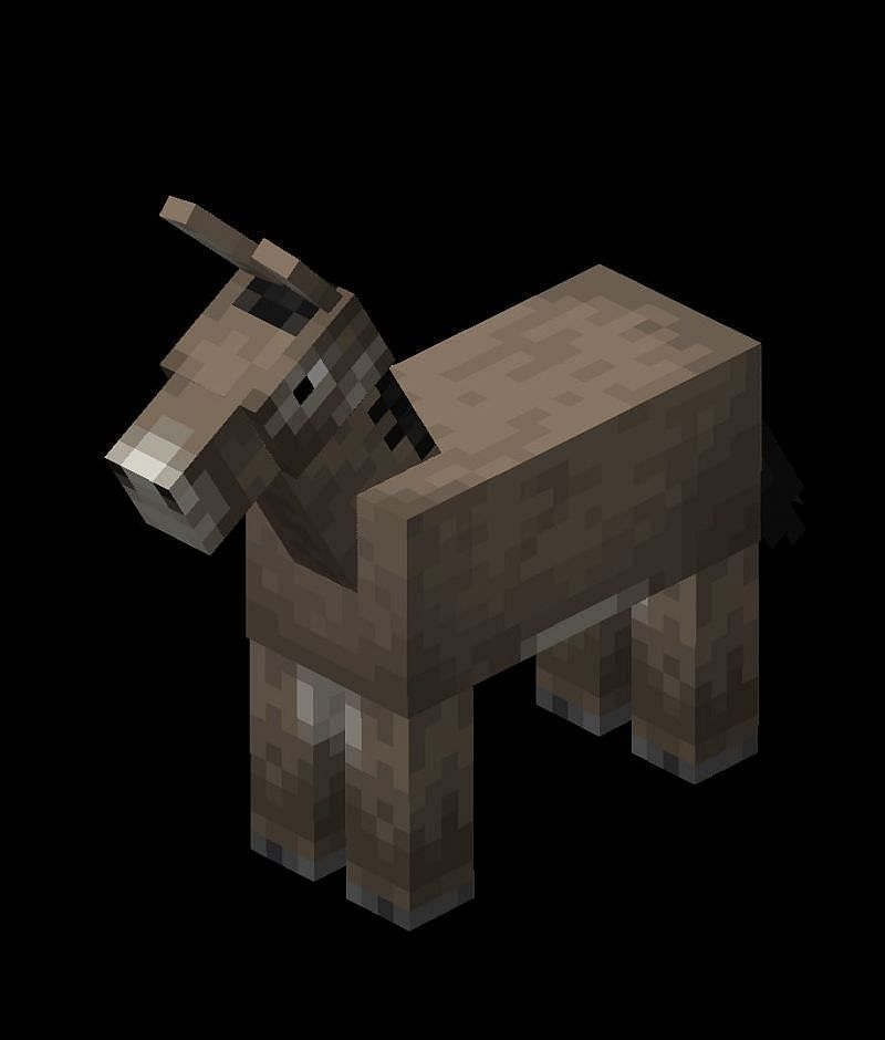 Donkeys in Minecraft: Where to Find, how to tame, what do they eat, Uses & Feeding Donkeys in Minecraft: Where to Find, how to tame, what do they eat, Uses & Feeding