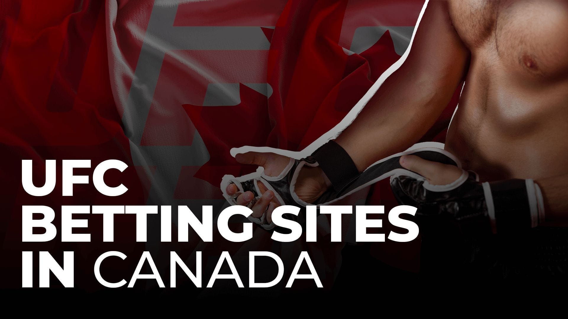 UFC betting A user's guide to betting on Mixed Martial Arts