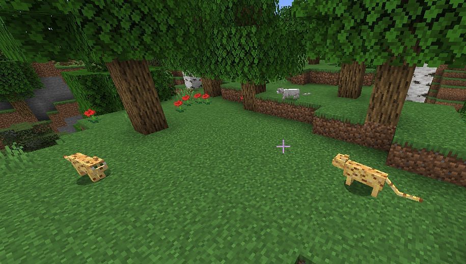 minecraft-ocelots-wiki-behavior-spawn-breeding-trivia-faqs