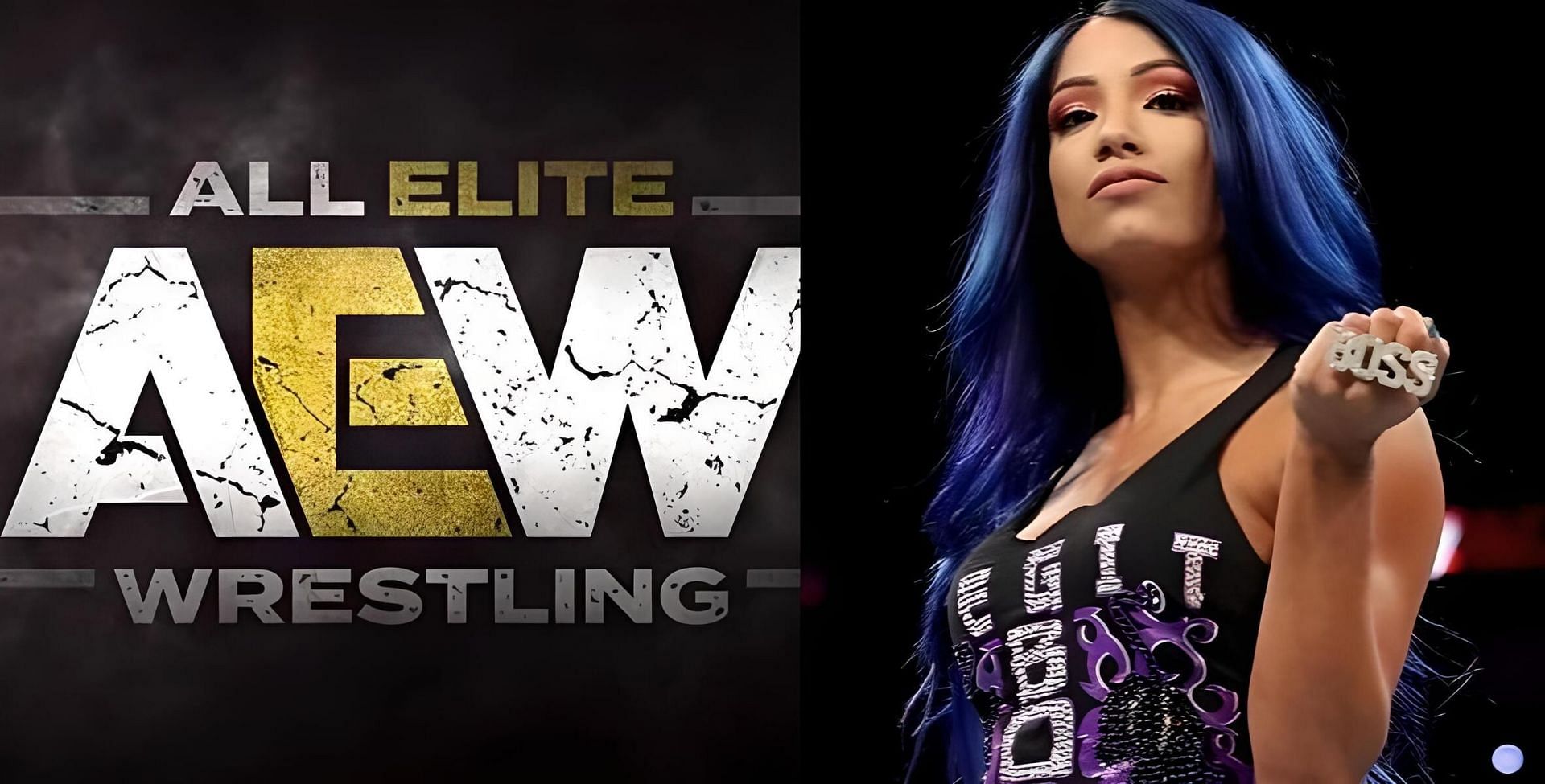 Sasha Banks might create some terrific dream matches in AEW!
