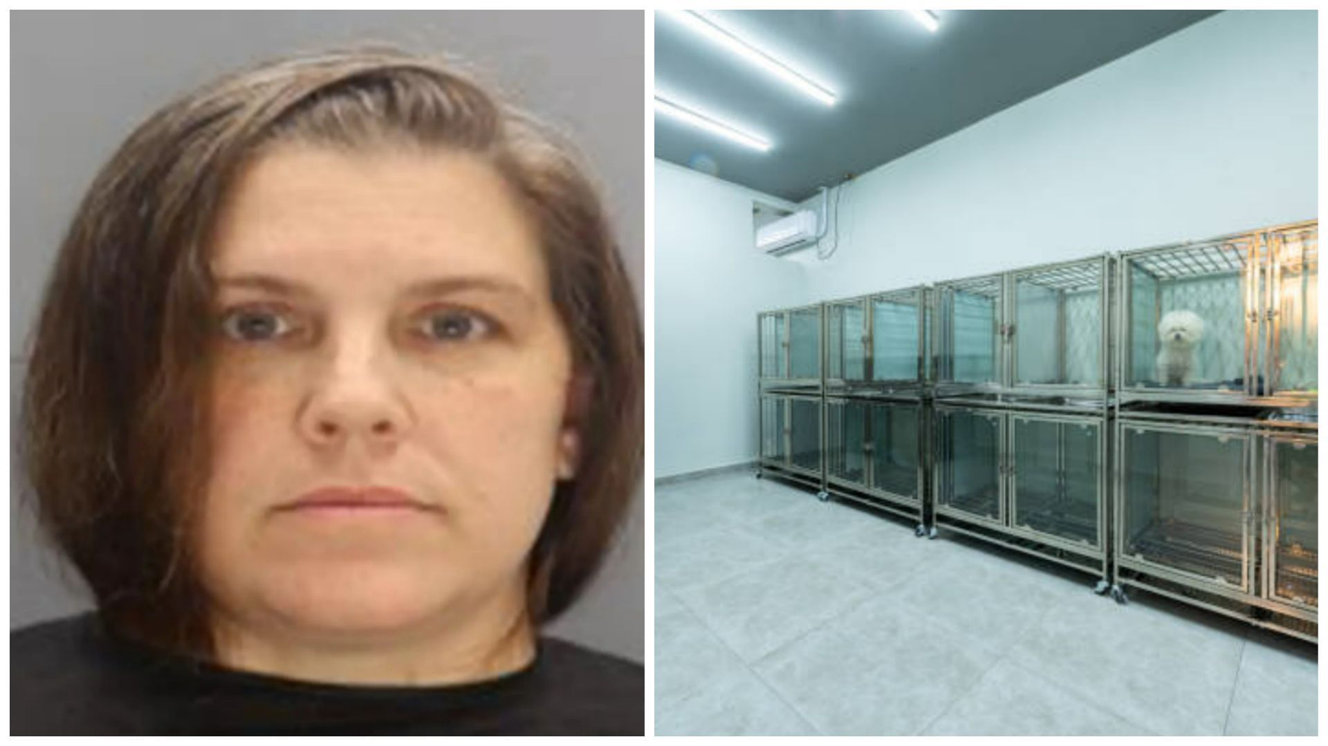 Who is Caroline Dawn Pennington? South Carolina animal rescuer arrested