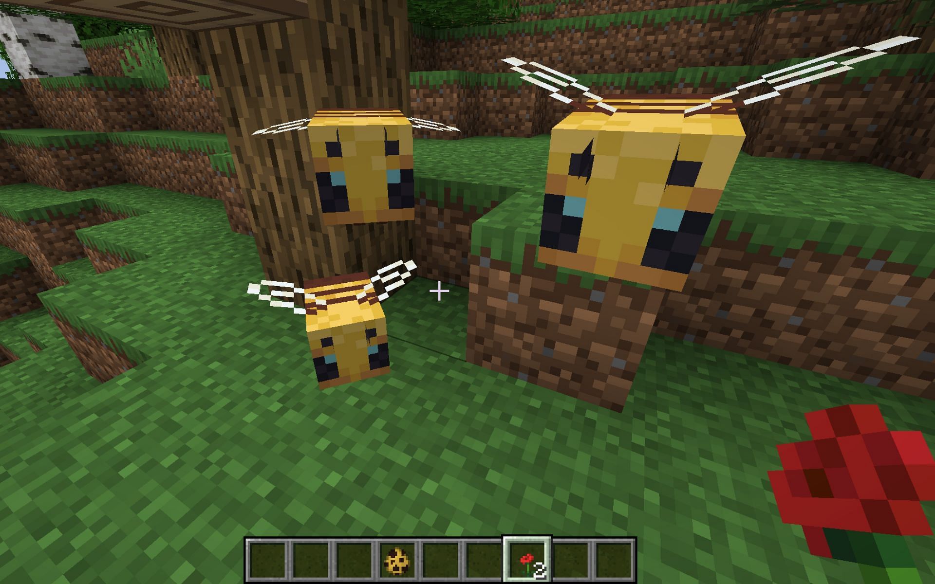 Bees spawn in forest biomes (Image via Mojang)
