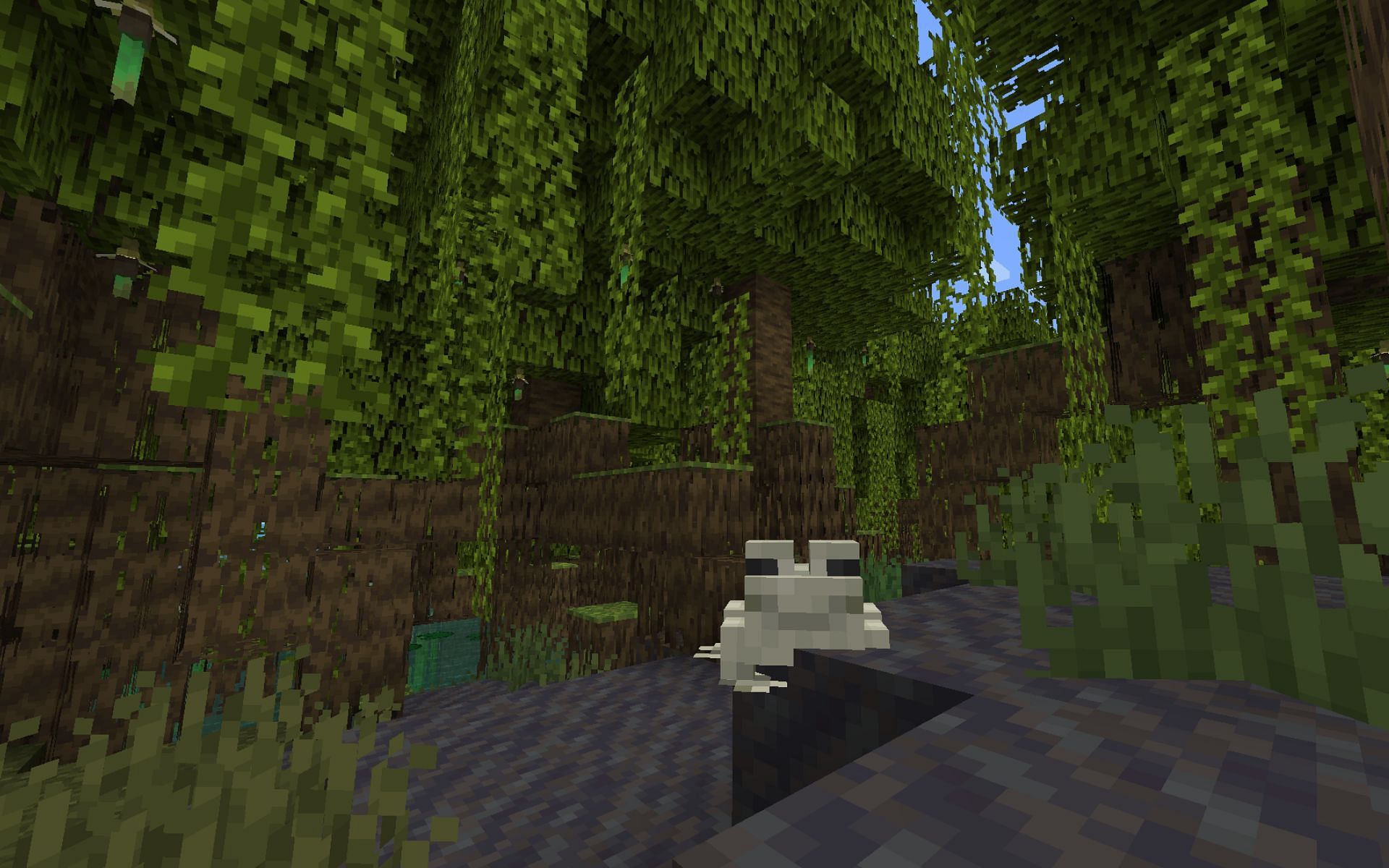 A Mangrove Swamp Biome as pictured in-game (Image via Minecraft 1.19 pre-release)
