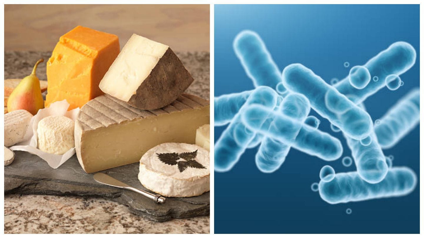 Cheese Recall 2022: Brand, list of flavors, lot codes and all you need