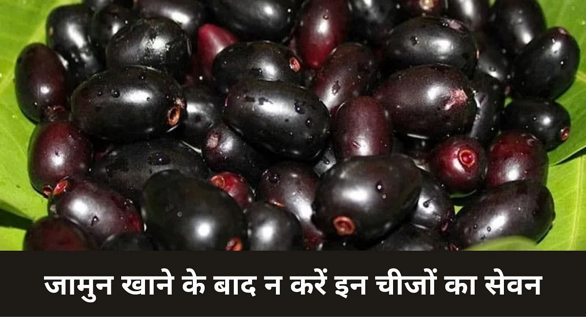 जामुन खाने के बाद न करें इन चीजों का सेवन(फोटो-Sportskeeda hindi)