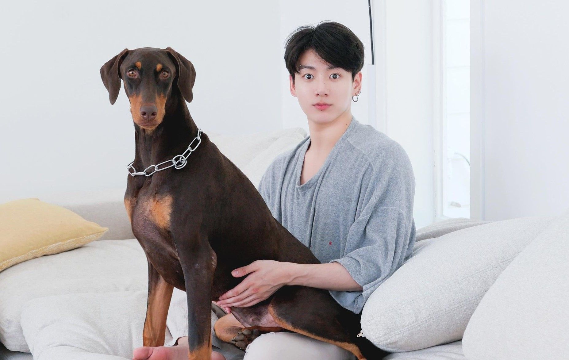 5 fatherson moments of BTS’ Jungkook and his pet Bam