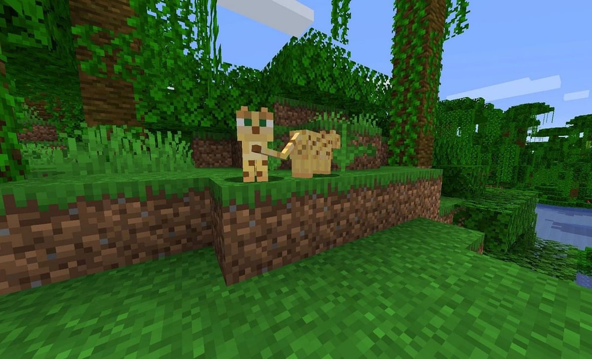 how-to-tame-an-ocelot-in-the-minecraft-1-19-update