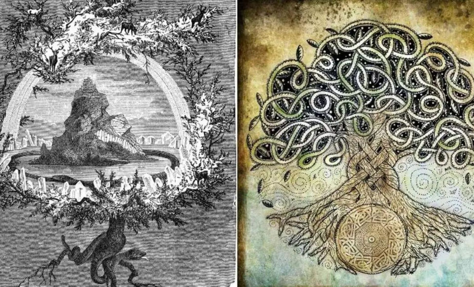 Yggdrasil depictions (Image via All That&#039;s Interesting)