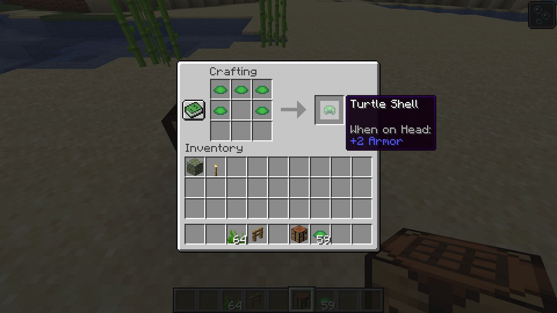 how-to-get-the-turtle-helmet-in-minecraft-1-19