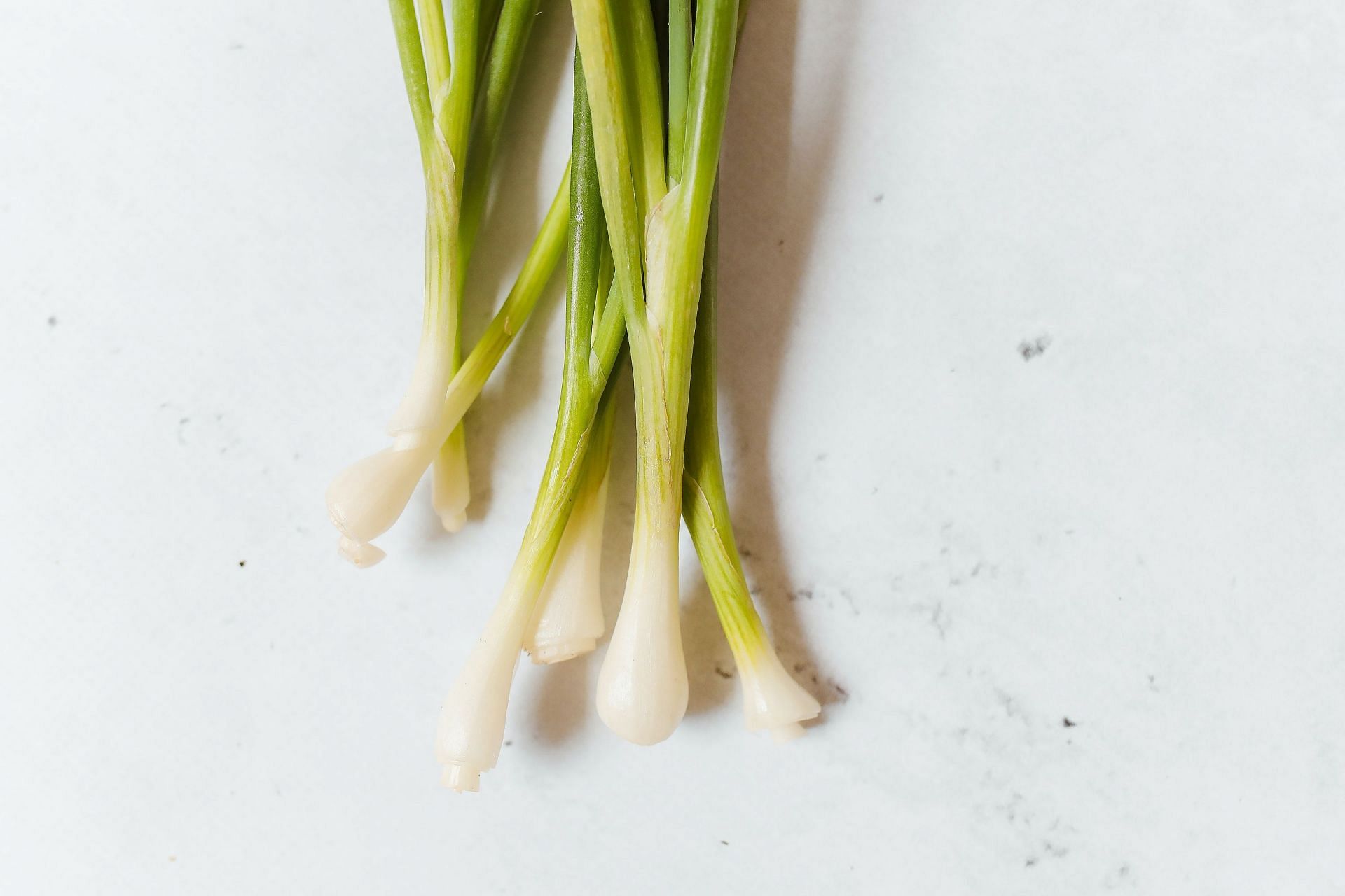 Green Onion: Nutritional Facts and Health Benefits