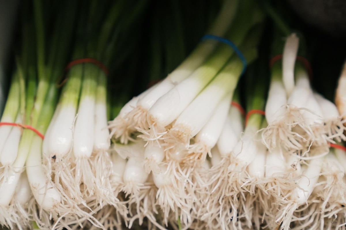 Green Onion Nutritional Facts and Health Benefits
