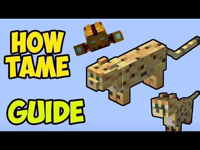 how-to-tame-an-ocelot-in-the-minecraft-1-19-update