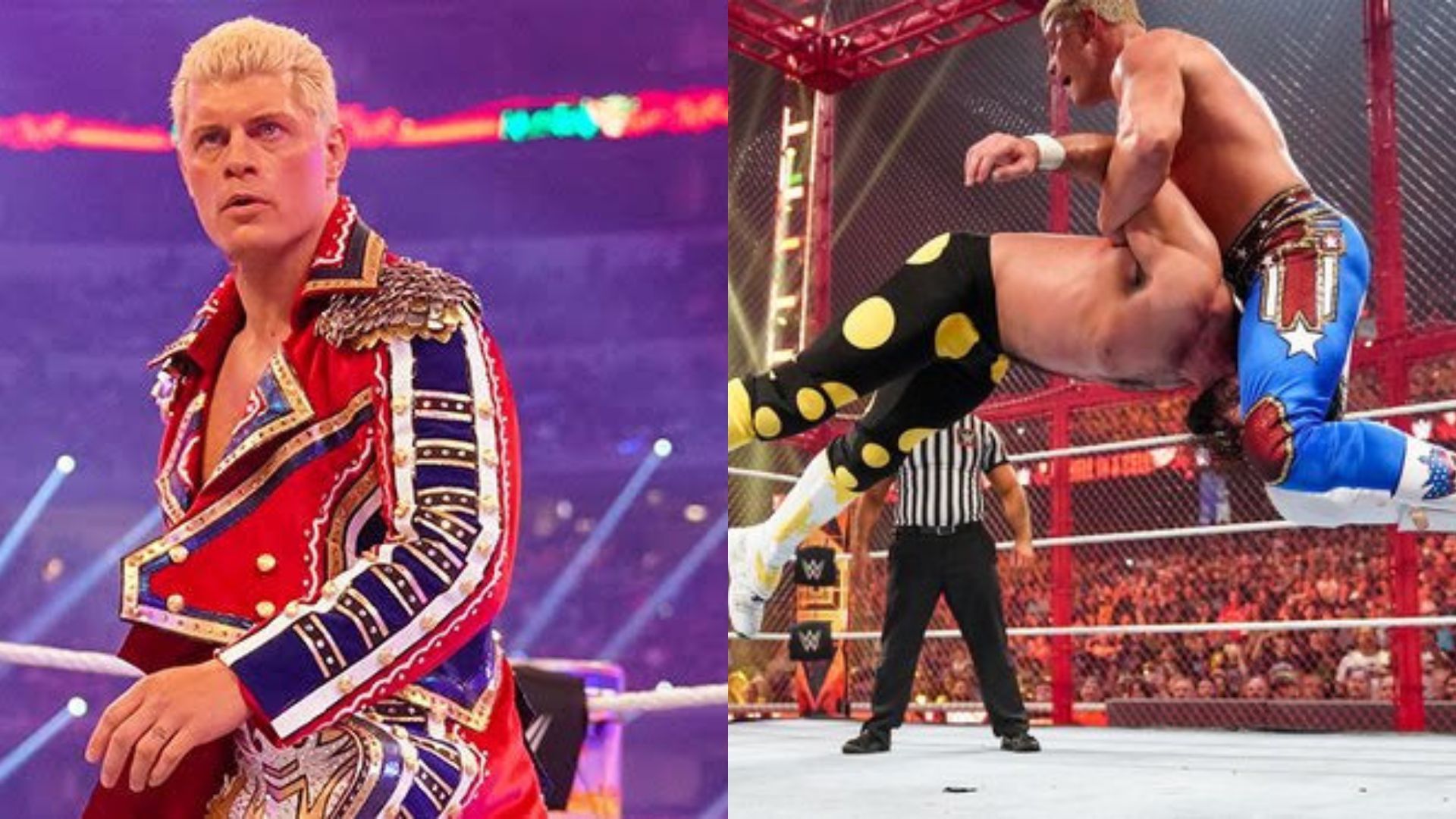 Hall of Famers opinion on Cody Rhodes's Hell in a Cell match