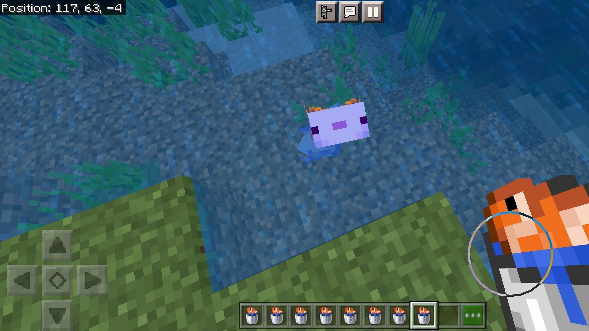How to summon a blue Axolotl in Minecraft PE 1.19 update