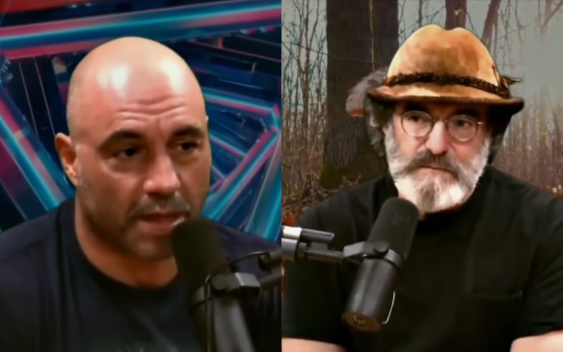Watch Joe Rogan shares hilariously psychedelic 'shrooms' remix to wish