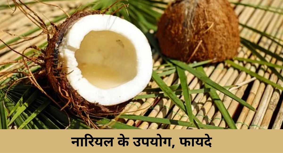 नारियल के उपयोग, फायदे(फोटो-Sportskeeda hindi)