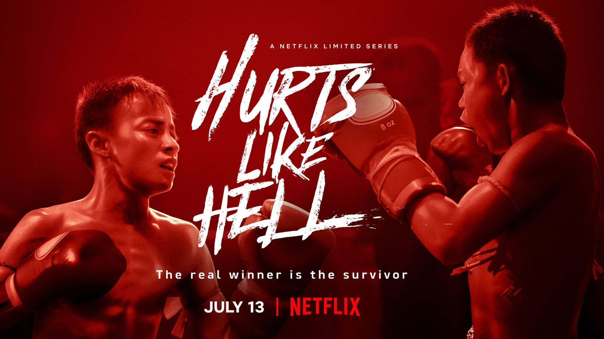 Hurts Like Hell Review: Visit the dark underworld of the National Sport ...