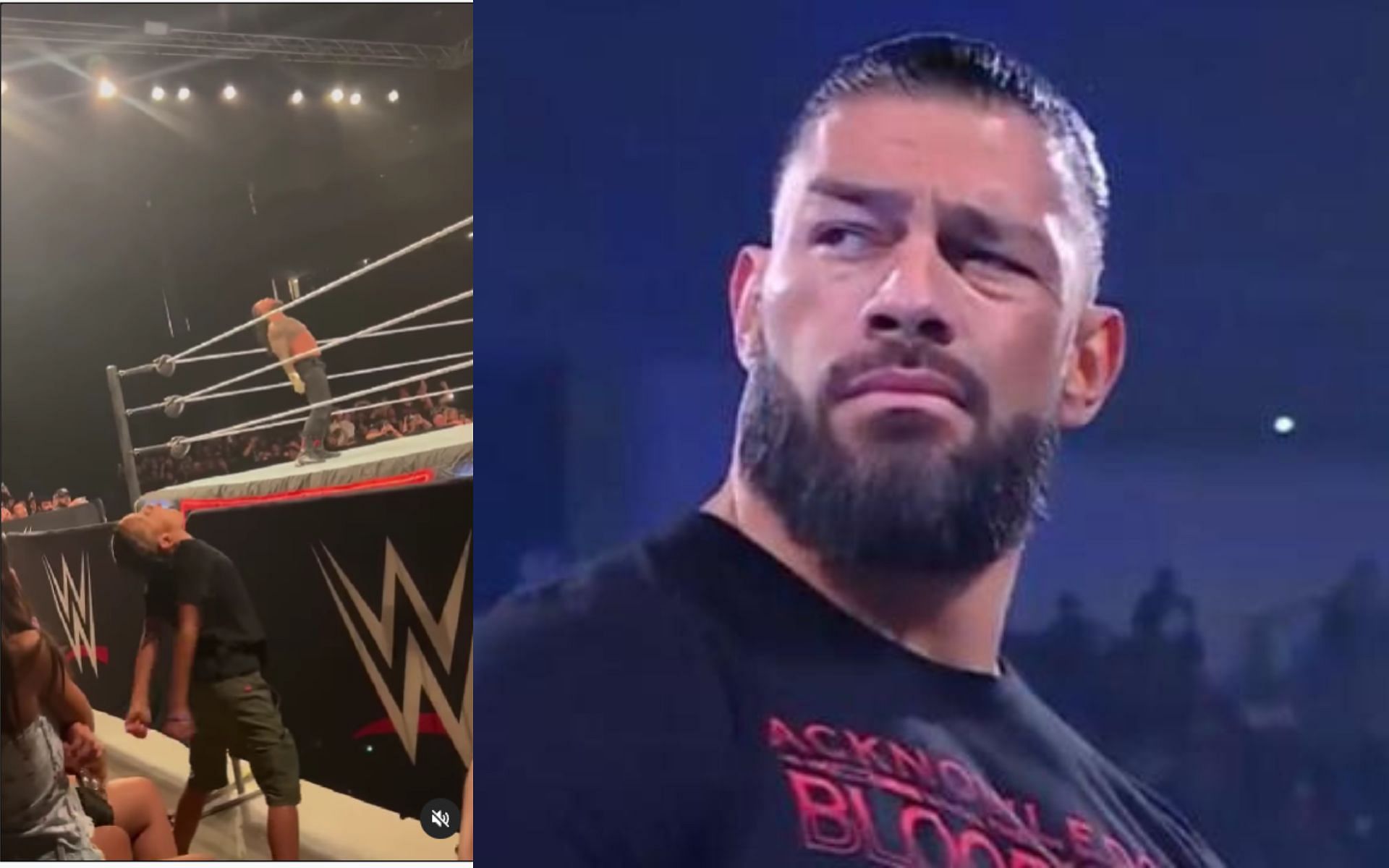 रोमन रेंस की नकल करता एक WWE फैन
