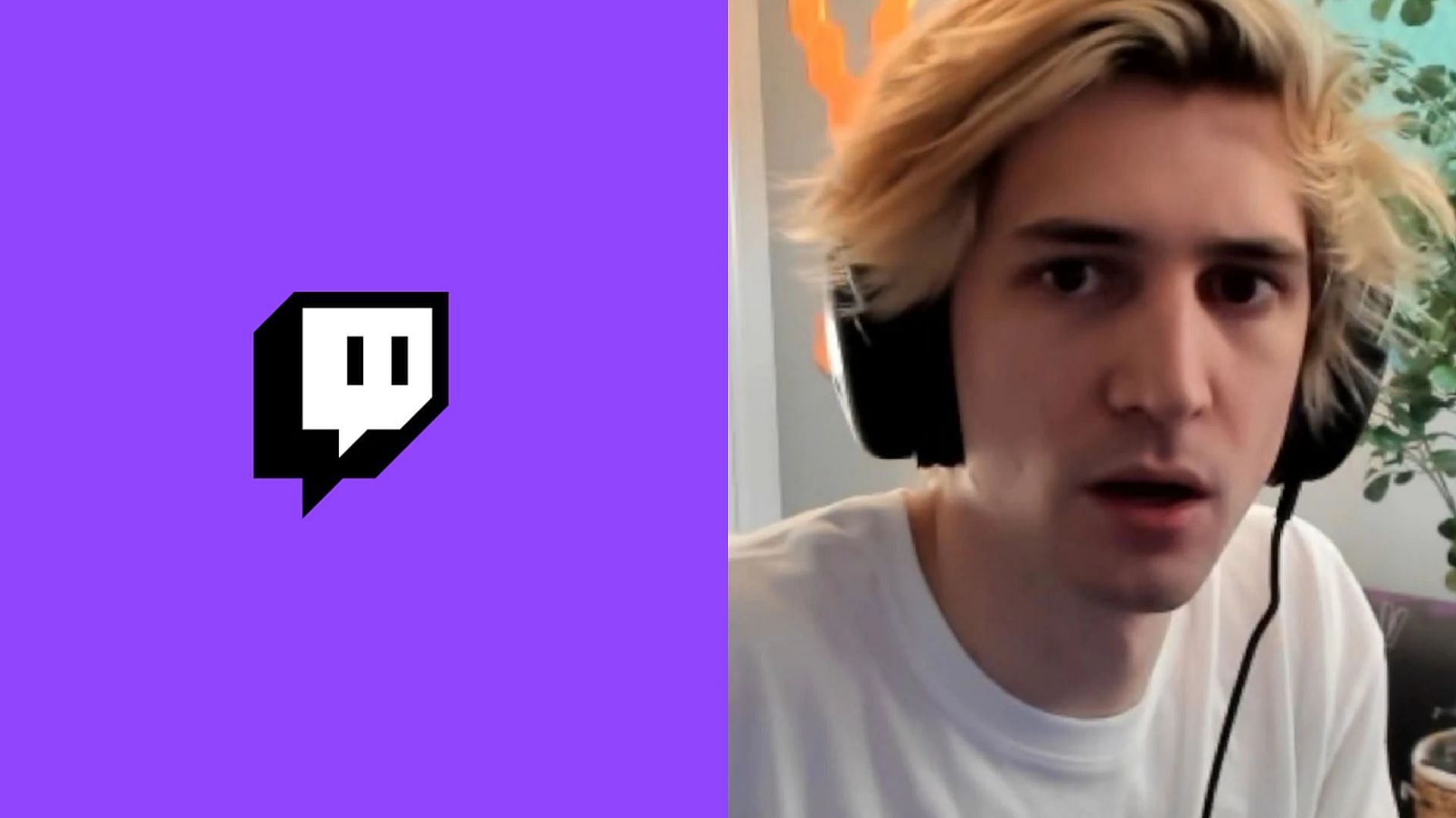 How many times has xQc been banned from Twitch?