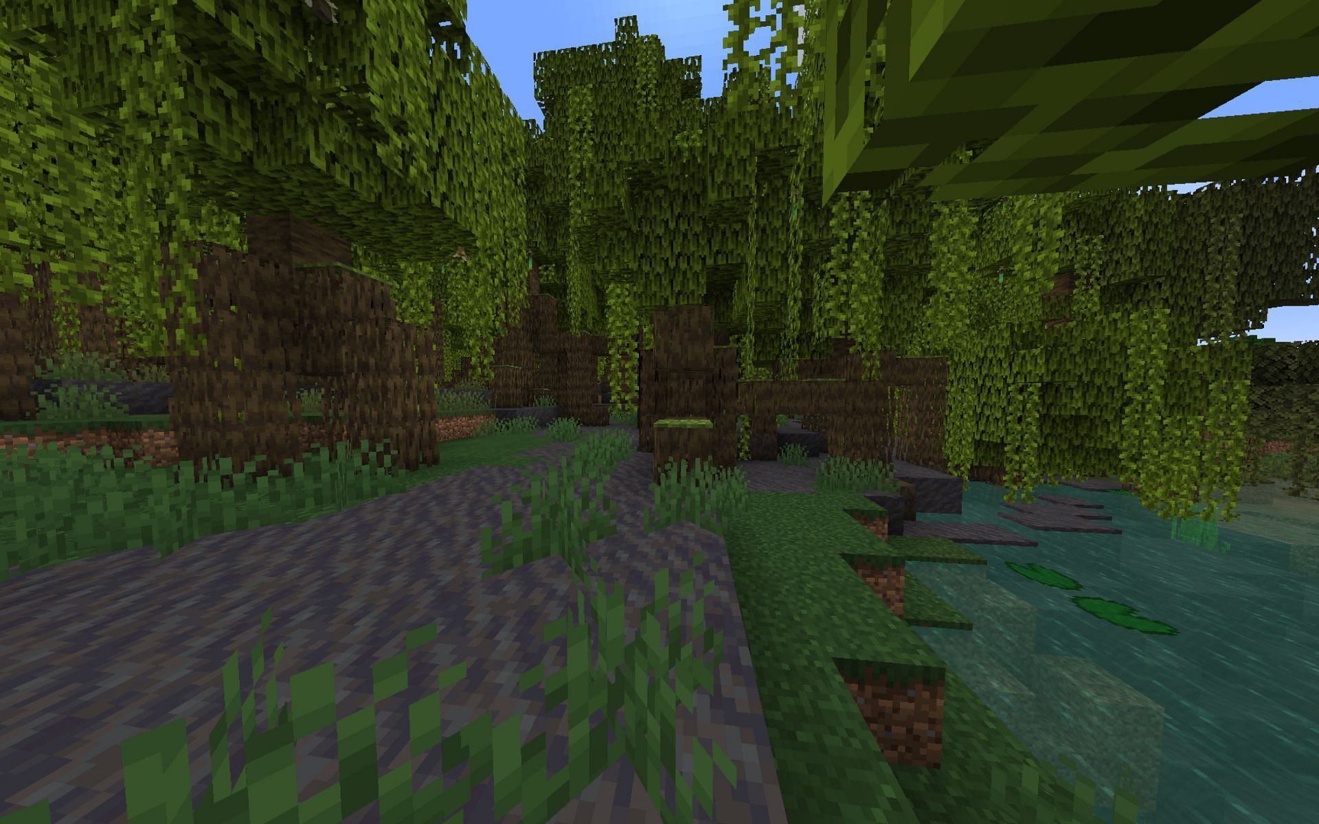 The Mangrove biome in which the player spawns (Image via Minecraft)