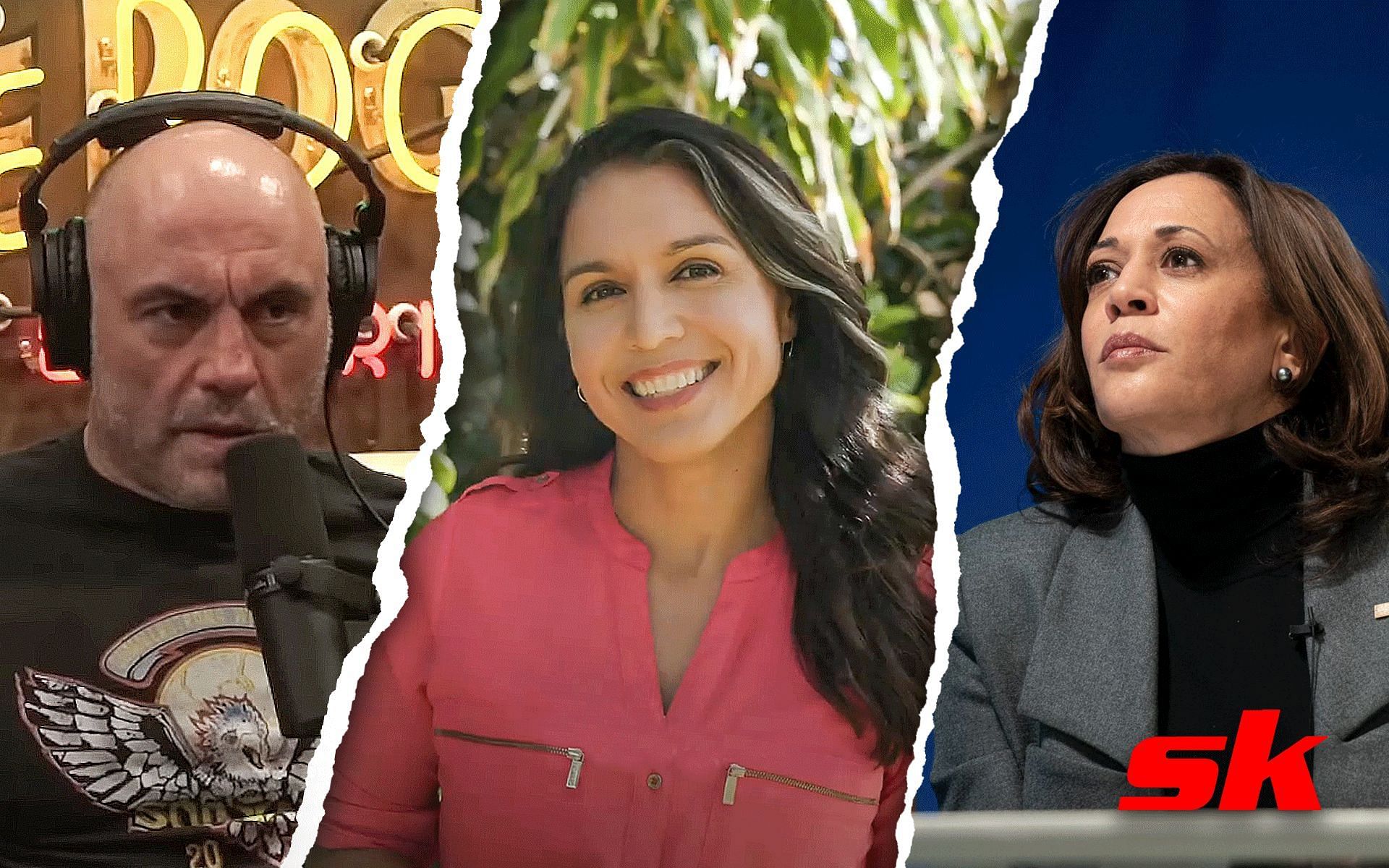 Joe Rogan Claims Tulsi Gabbard Would Make A Better Leader Than Kamala ...