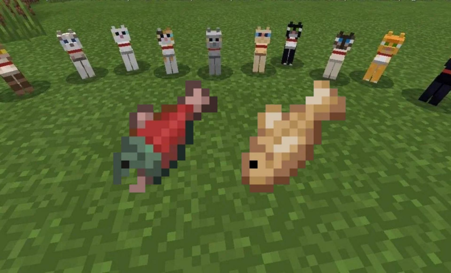 How Do You Feed Your Cat In Minecraft