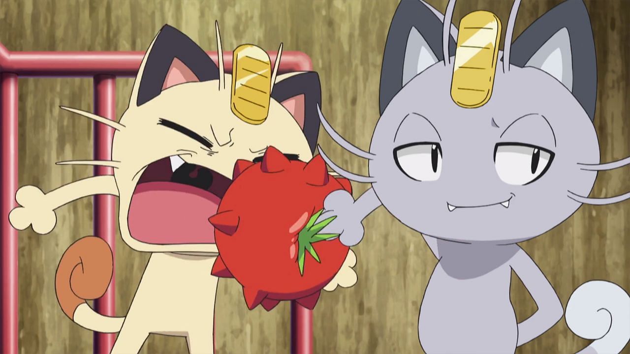 An Alolan and Kantonian Meowth as they appear in the anime (Image via The Pokemon Company)