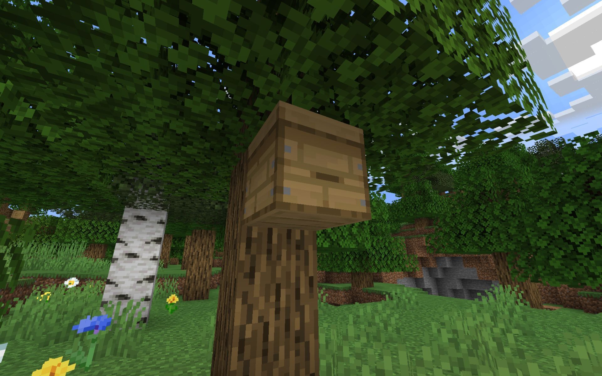 How to use a beehive in Minecraft 1.19