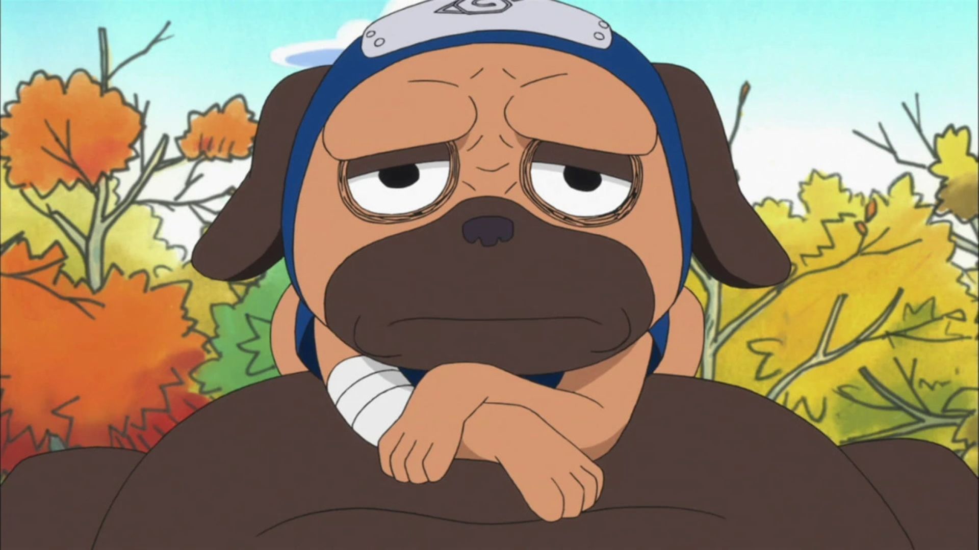 Naruto 10 wisest moments from gag characters