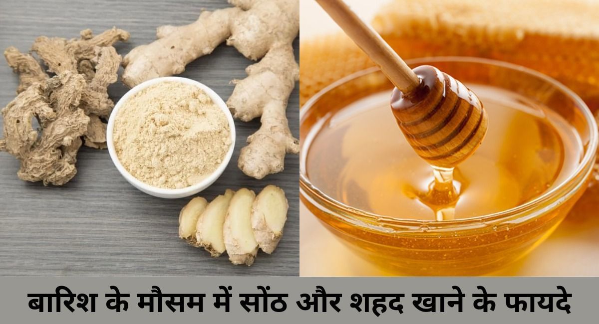 बारिश के मौसम में सोंठ और शहद खाने के 5 फायदे Barish Ke Mausam Me