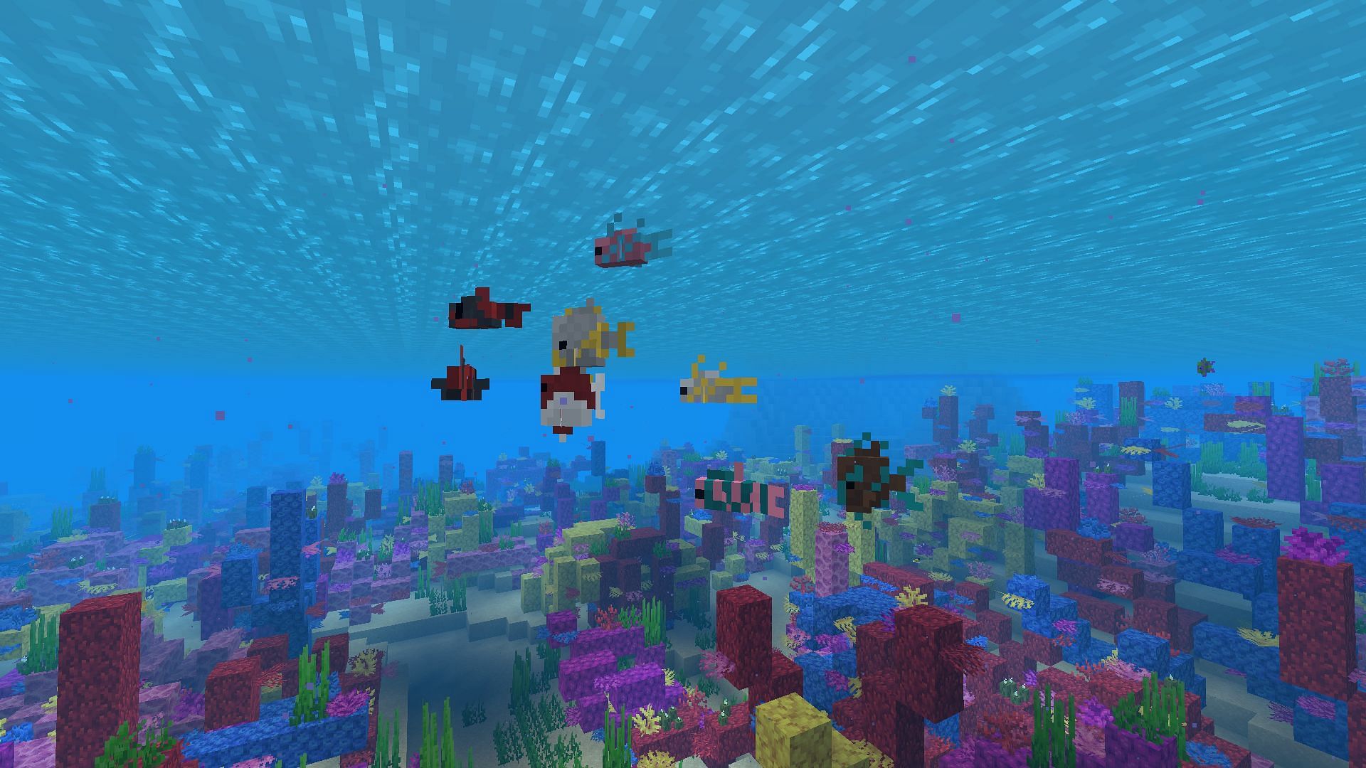 How To Get And Use Tropical Fish In Minecraft In 2022   42f00 16610022598073 1920 