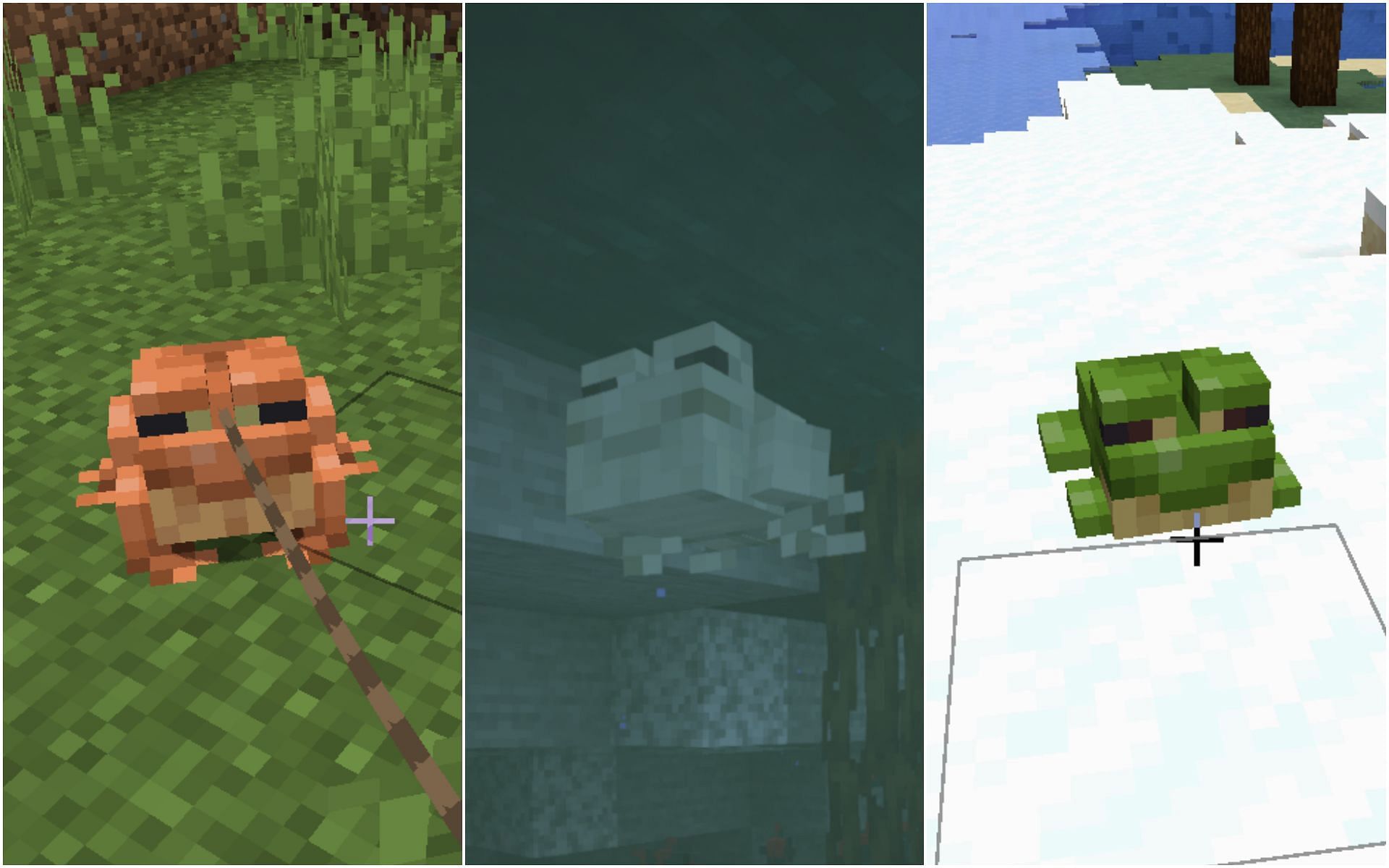 All three variants of frogs must be captured in order to complete the advancement (Image via Minecraft Wild Update)