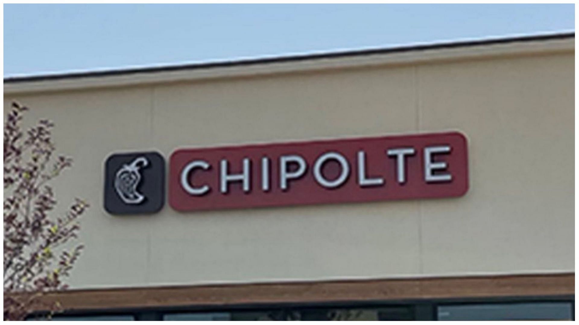 Chipotle IQ Test How to take part in the BOGO quiz and everything to