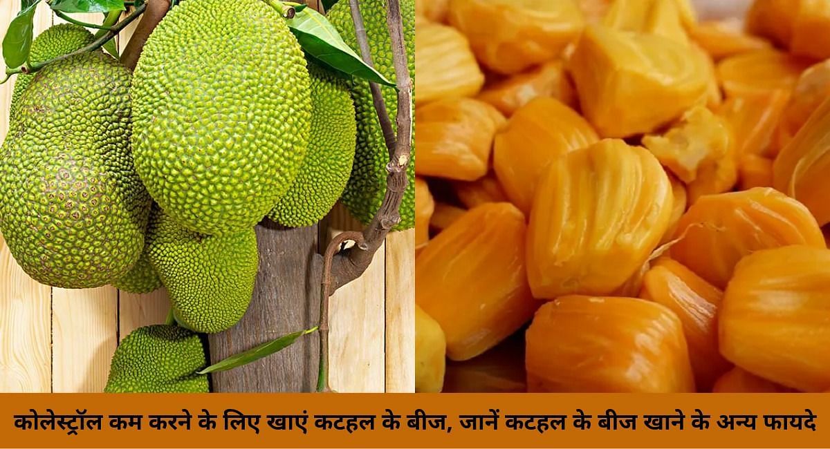 कटहल के बीज खाने के फायदे(फोटो-Sportskeeda hindi)