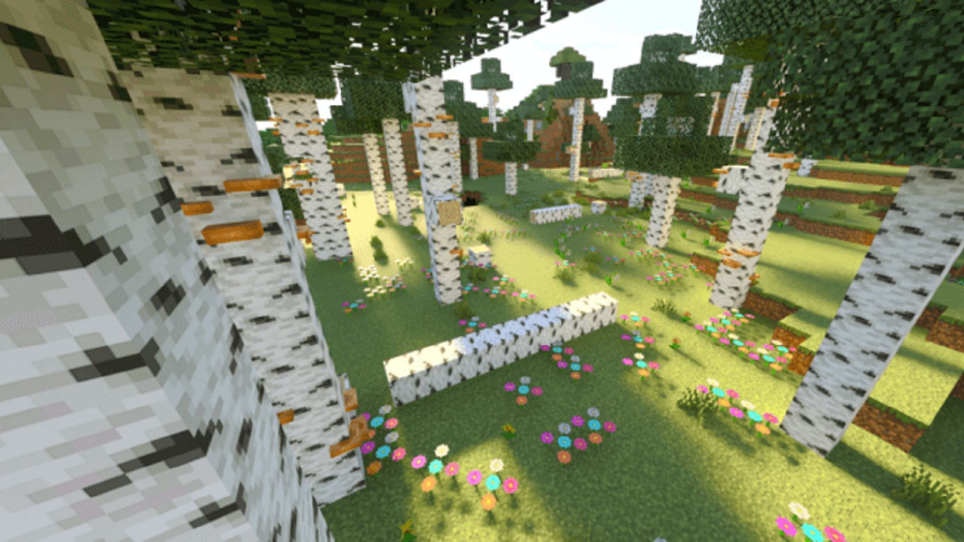 A birch forest biome concept for Minecraft 1.19 (Image via Mc-Addons.com)