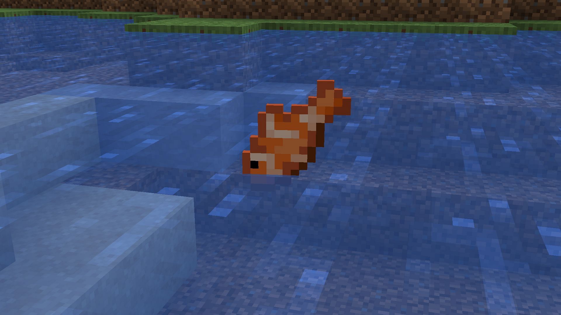 How to get and use tropical fish in Minecraft in 2022