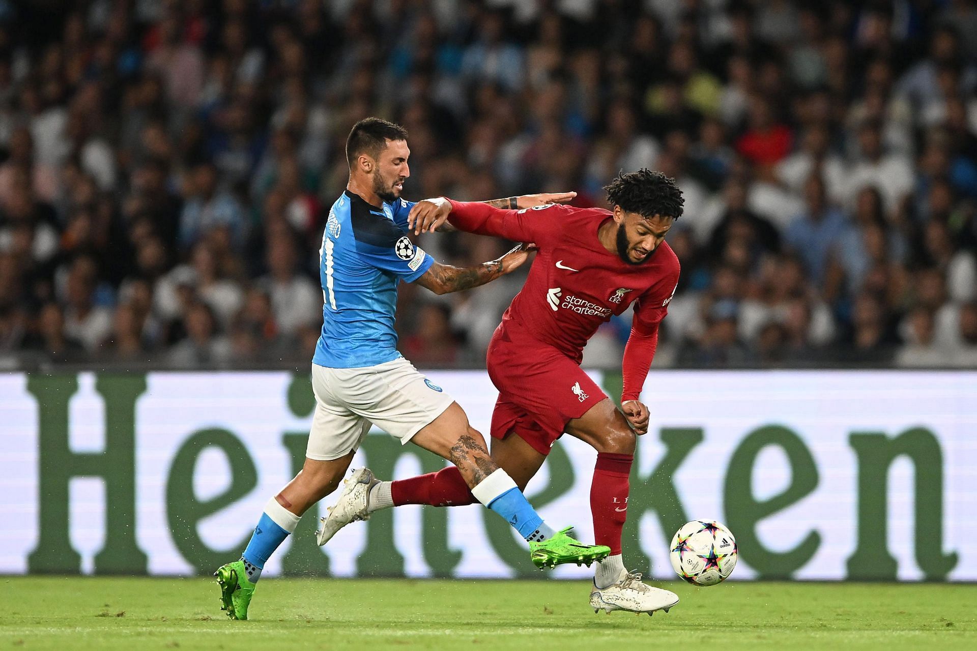 SSC Napoli v Liverpool FC: Group A - UEFA Champions League