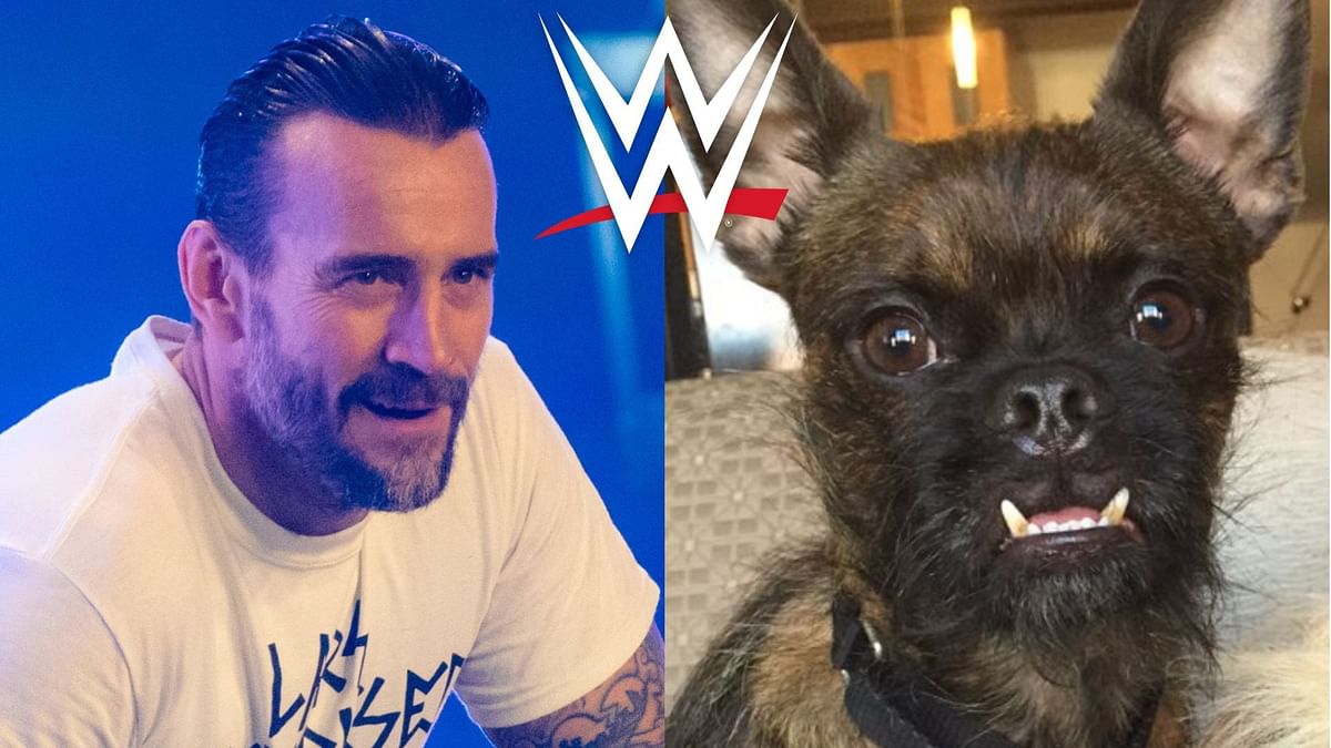 WWE veteran mockingly takes a dig at CM Punk's dog allegedly involved