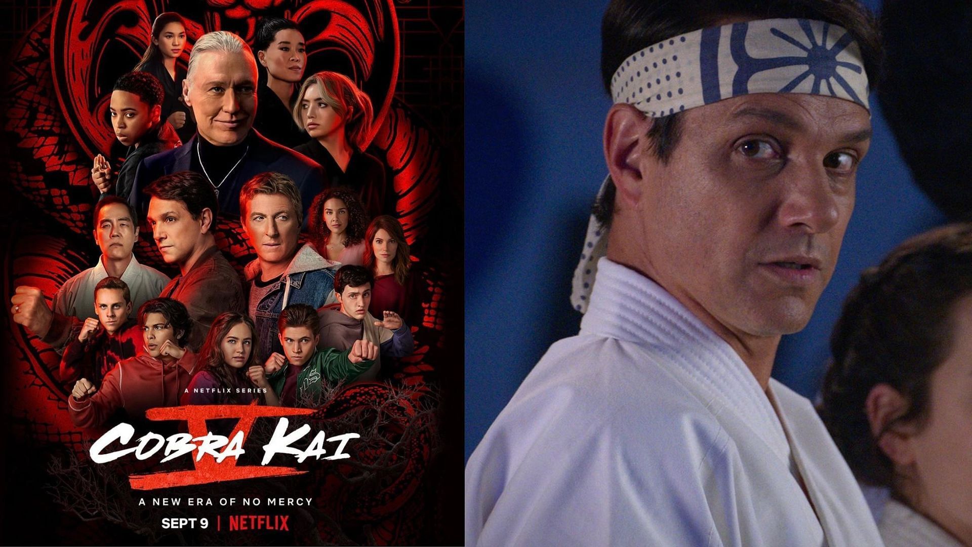 Cobra Kai Season 5 - Who Is Ralph Macchio Aka Daniel LaRusso And Where ...