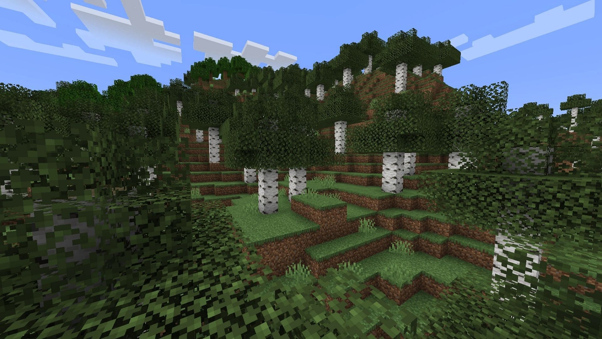 Birch Forest was about to get a hotfix in update 1.19 (Image via Minecraft Wiki)