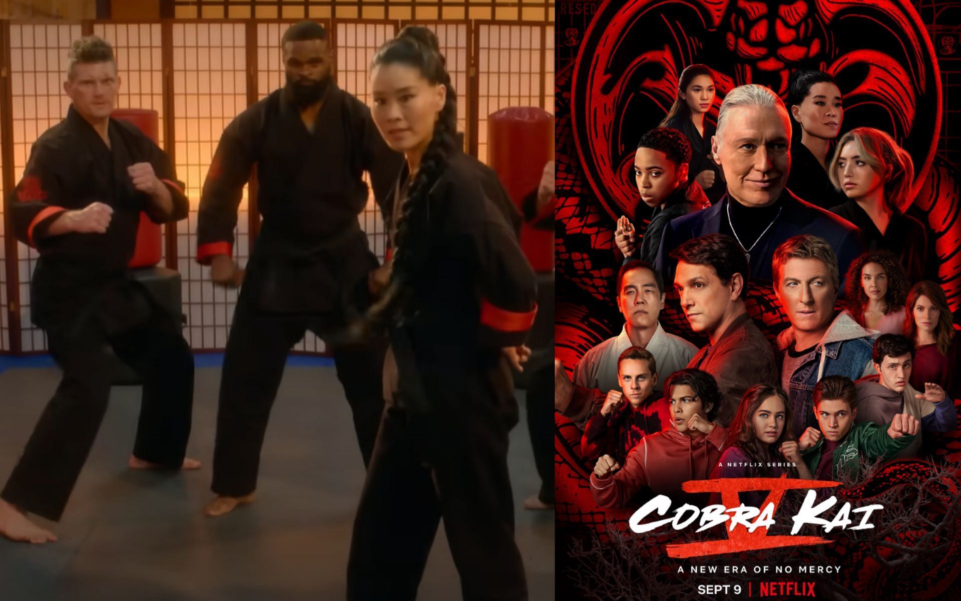 Which UFC fighters star in new season of 'Cobra Kai'?