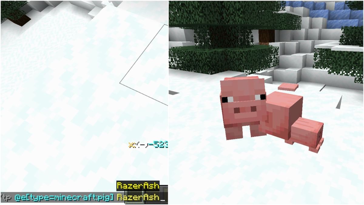 Teleporting animals in Minecraft using command