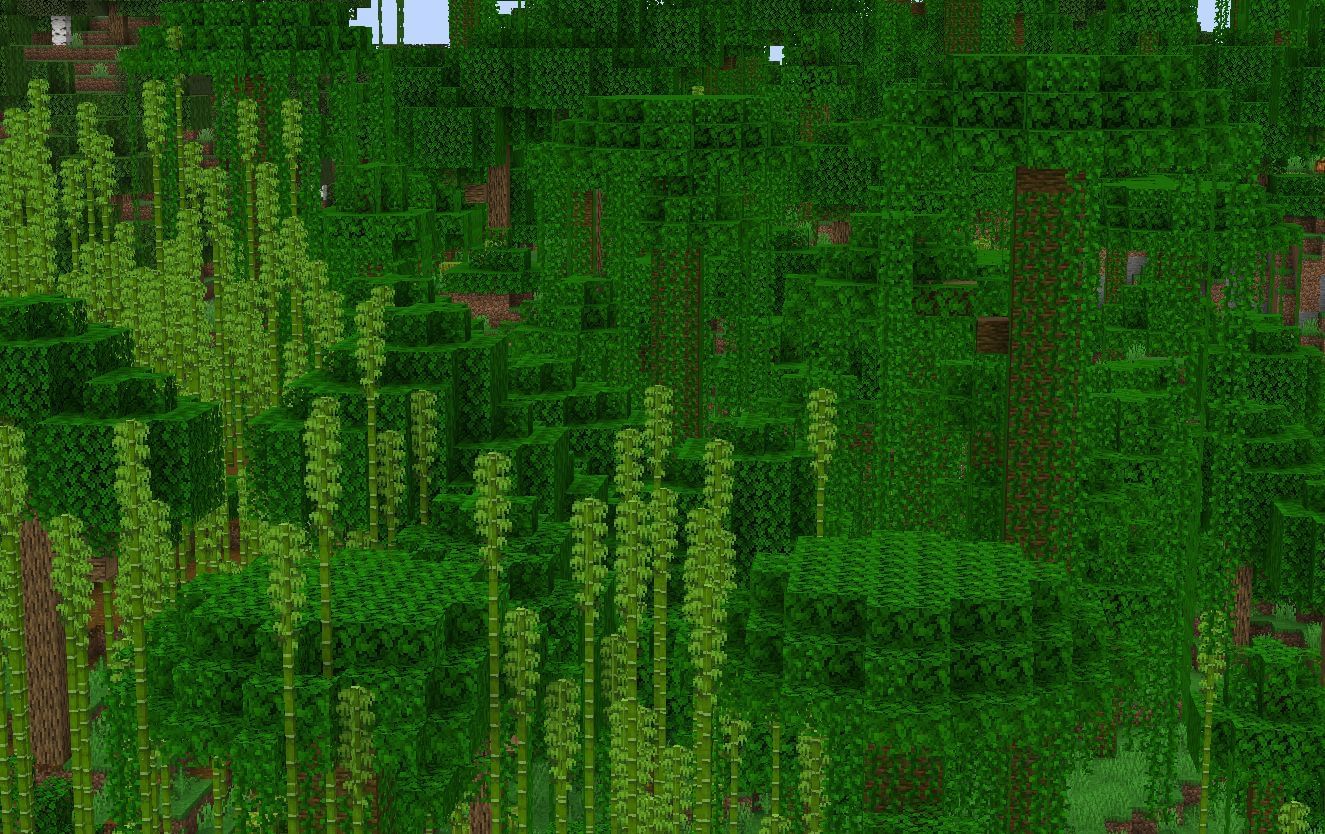 Bamboo Jungle in Minecraft