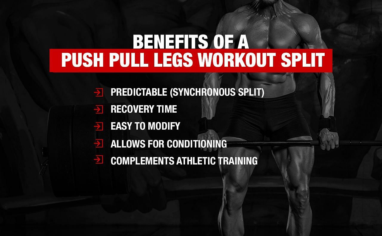 A Detailed Guide to Push Legs