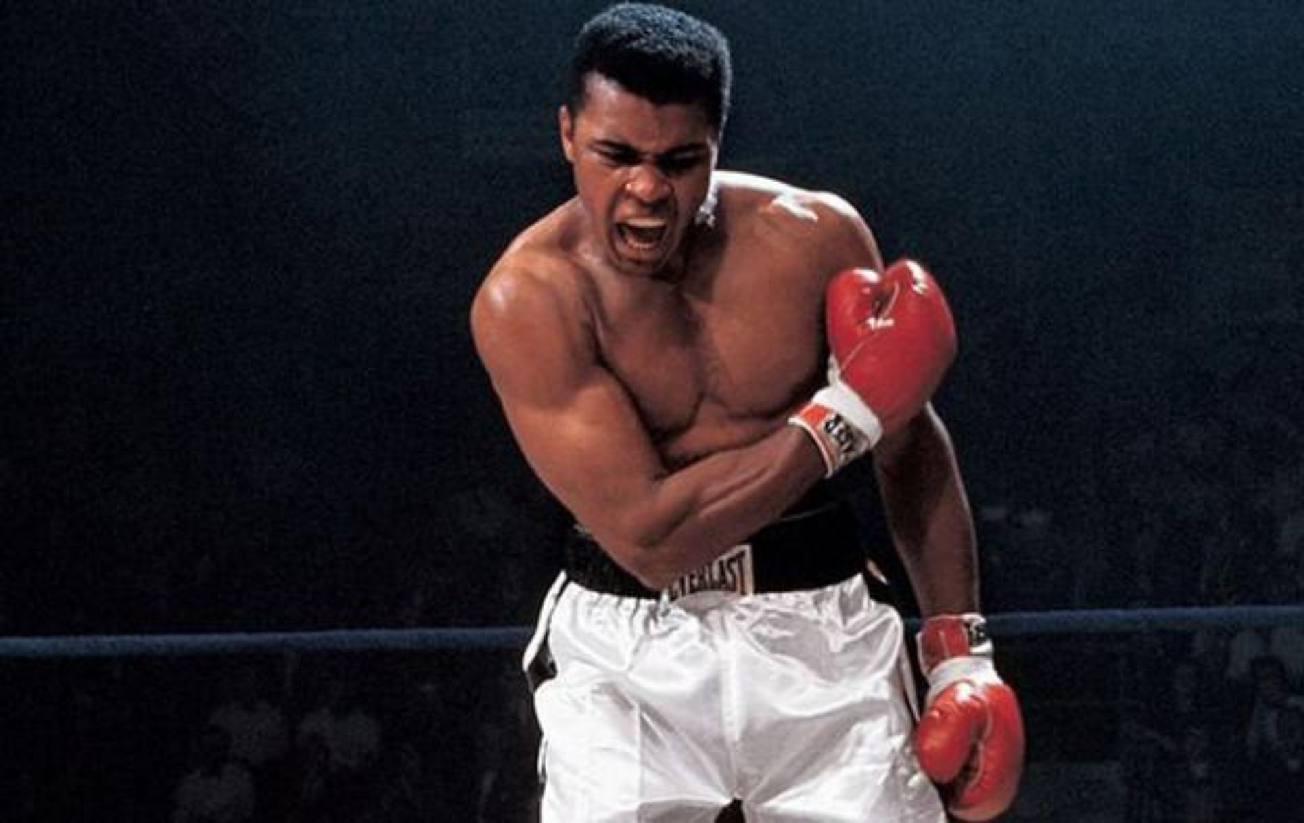 how-many-fights-did-muhammad-ali-win