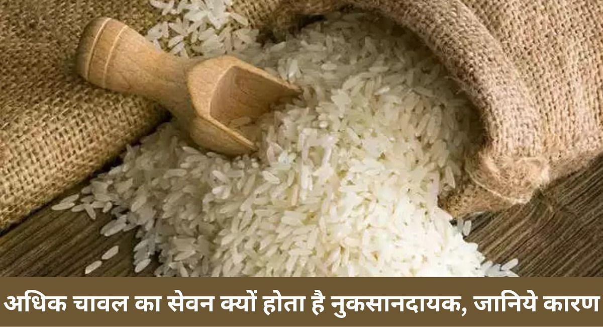 अधिक चावल का सेवन क्यों होता है नुकसानदायक, जानिये कारण 