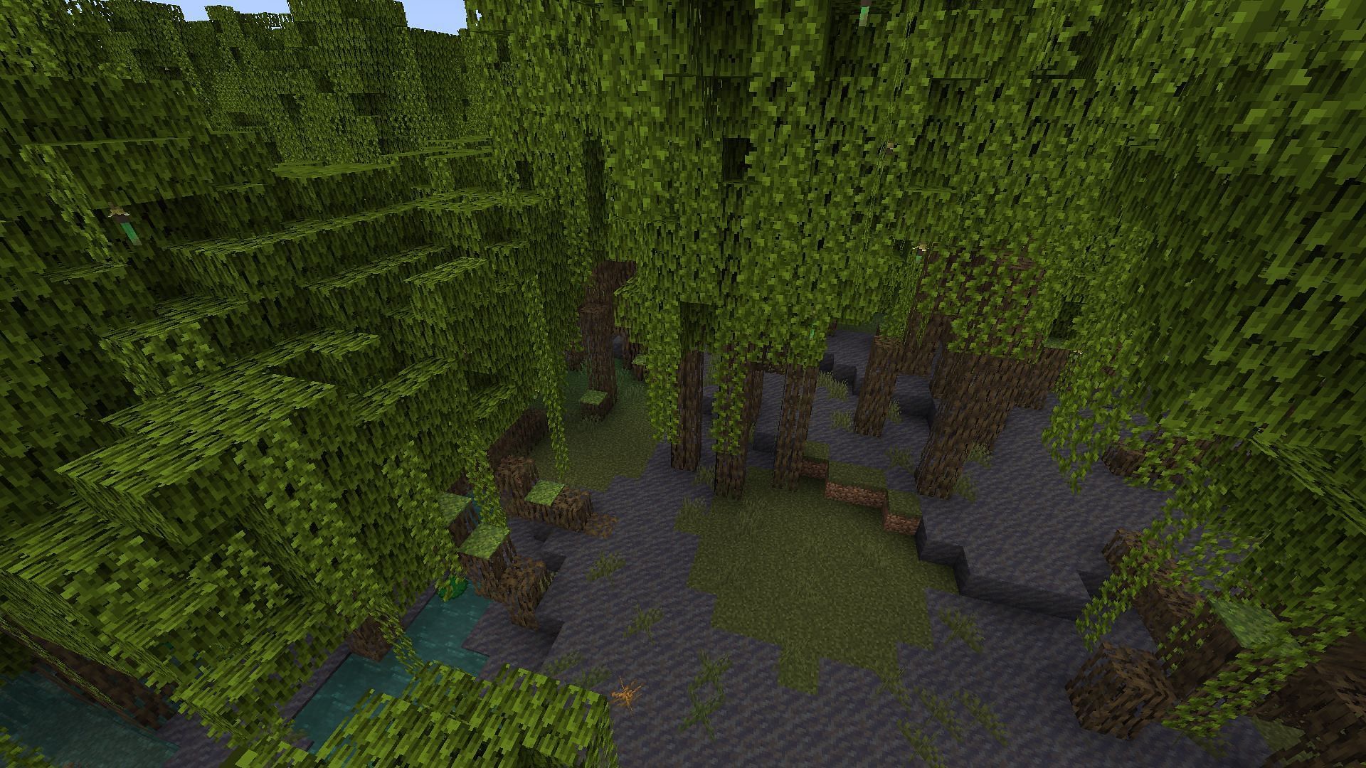 Players will spawn directly inside the Mangrove Swamp in Minecraft (Image via Mojang)